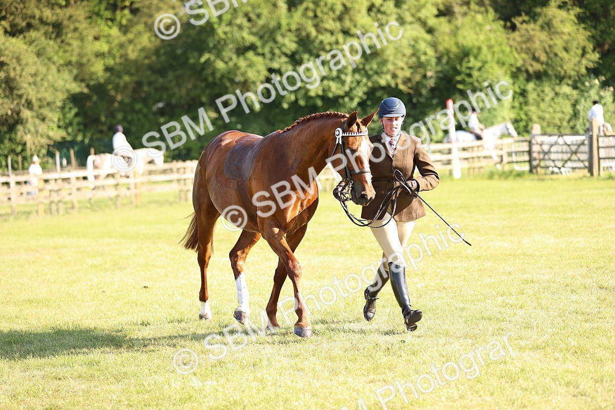 SBM_19731 - Class 87-88 - RIHS BSHA Riding Horses