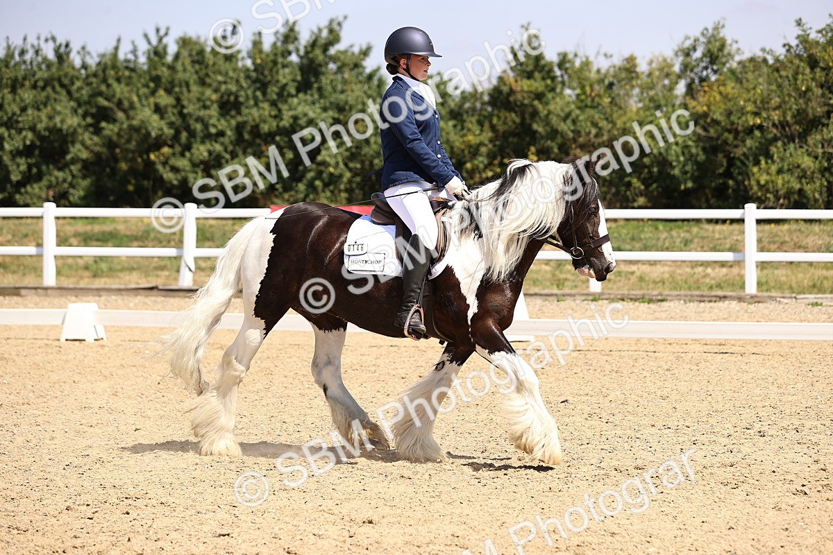 SBM_003738 - Intro 2