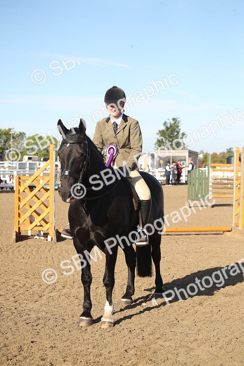 SBM_11597 - Class 502 - Riding Club Horse