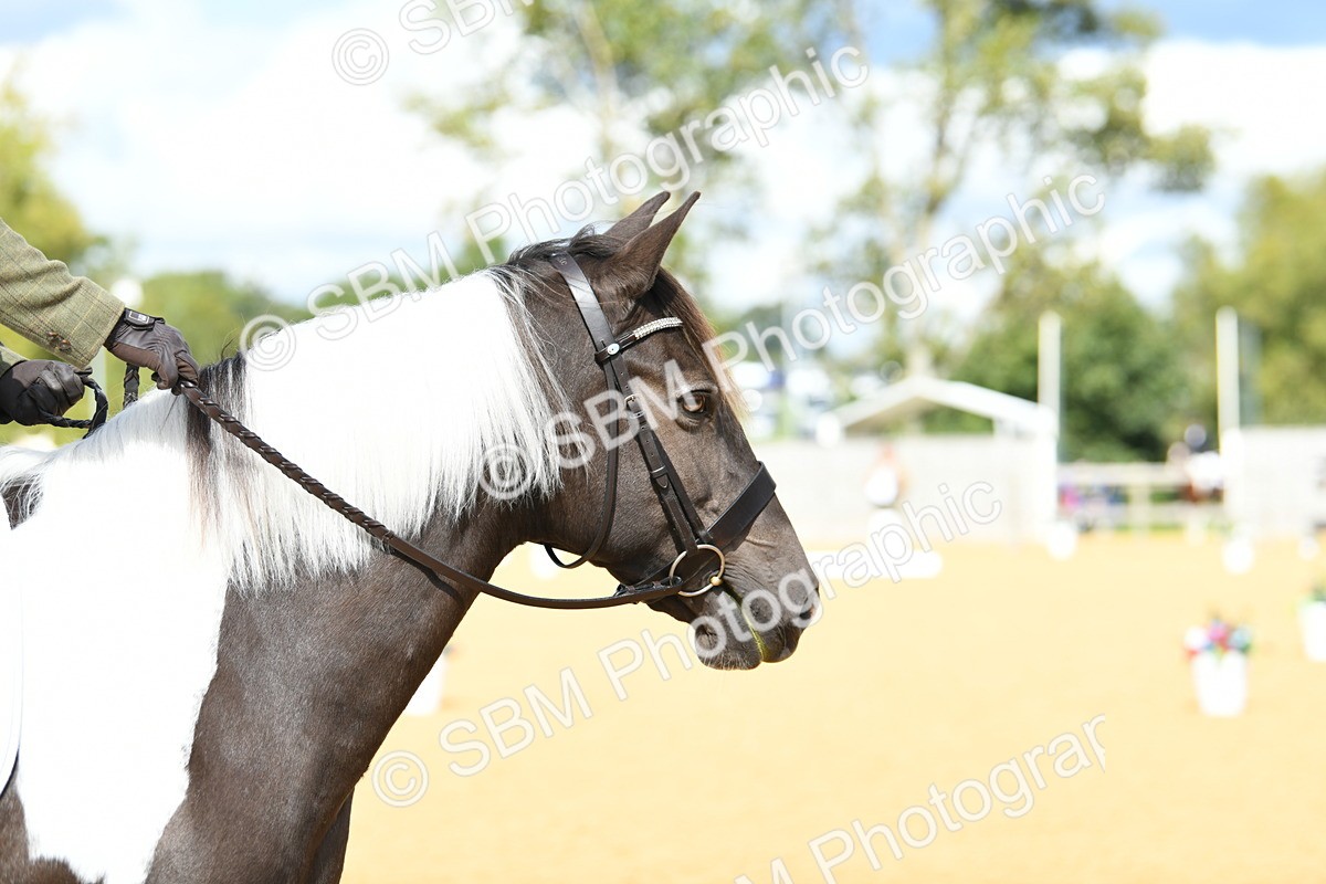 SBM_06375 - D15 Small Tour Championship Novice 24