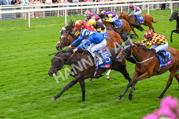260725-Race 2-Elmonjed-7256 - Race 2 2.00pm Sky Bet Dash Handicap