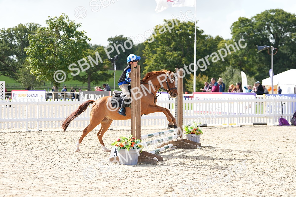 SBM_18042 - J58 - Clear Round 50cm