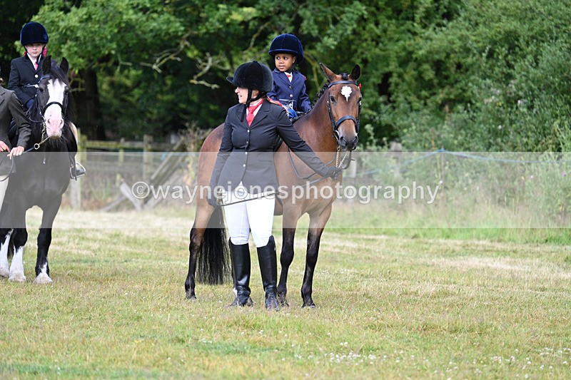 WJ7_4444 - Class 1 Lead Rein Pony