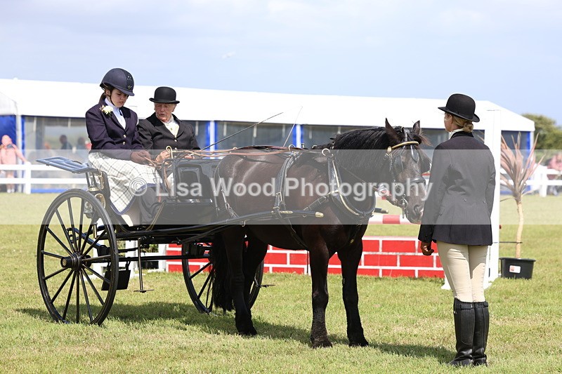 3E7A2745 - Class 12: Open Driving