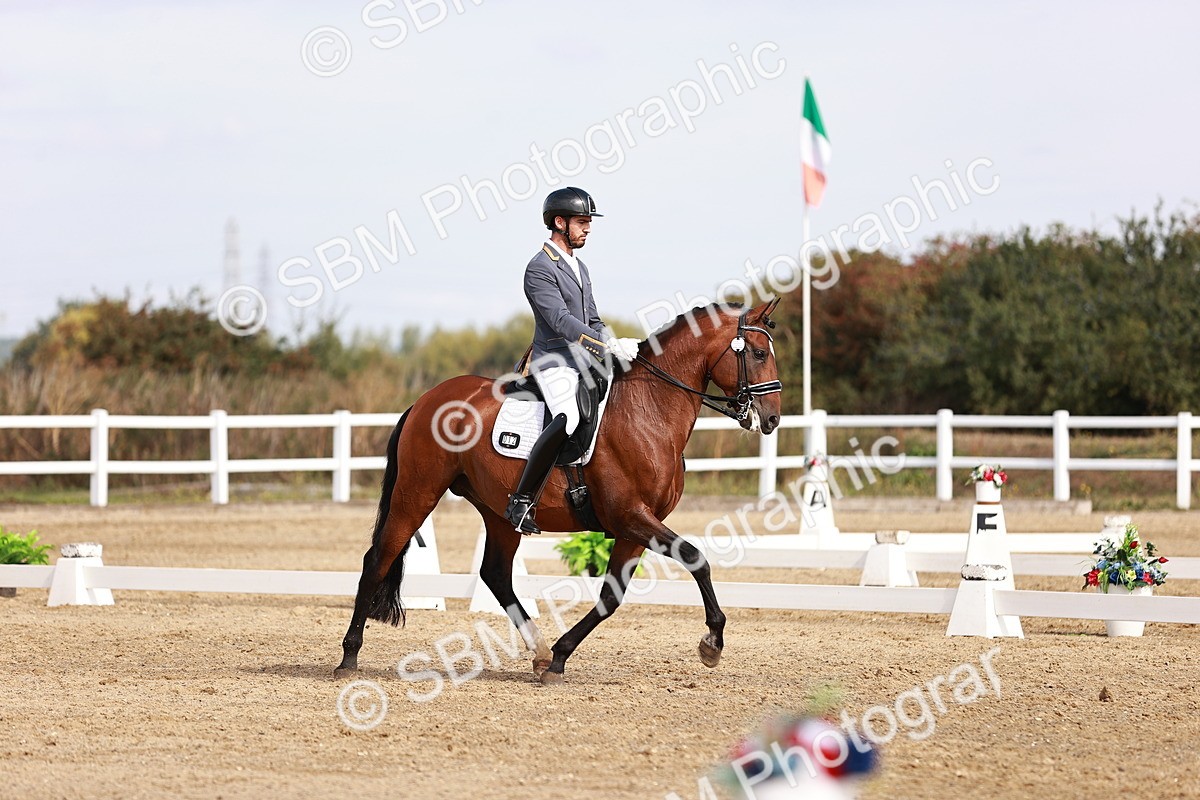 SBM_017595 - Class 11 - Advanced Medium 6