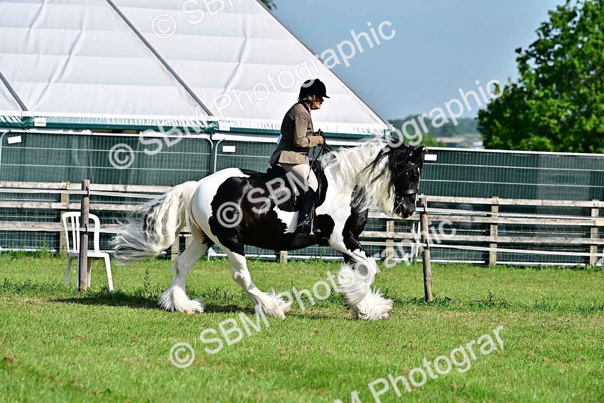 SBM_12127 - Class 93-94 - BSPA RIHS Ridden