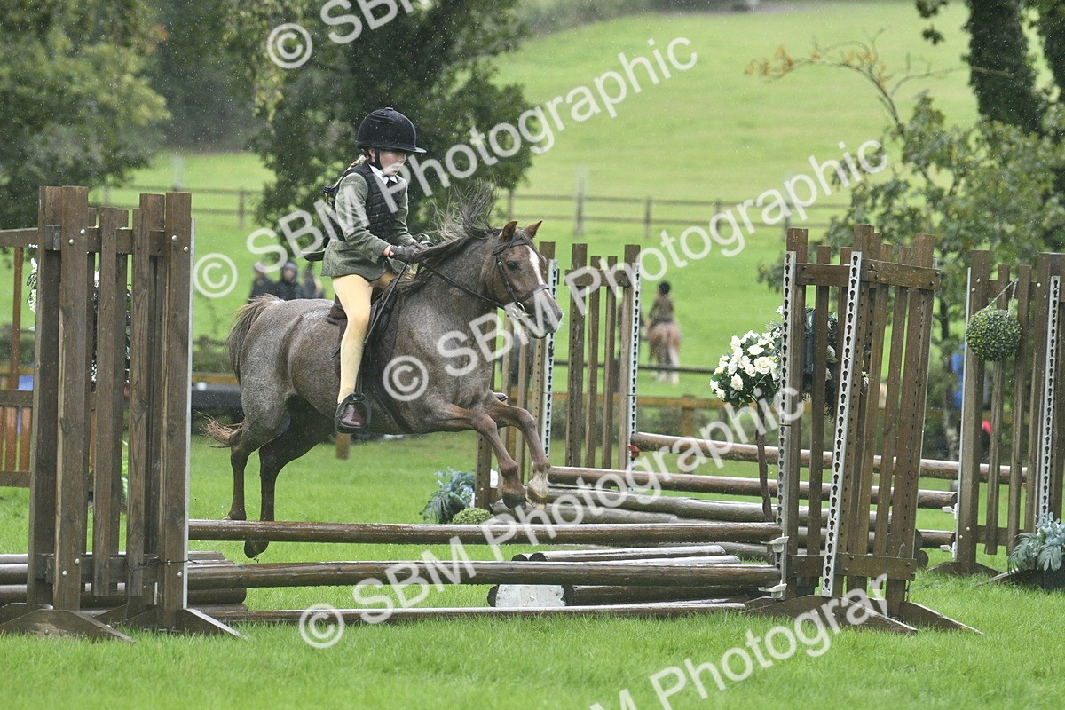 SBM_37136 - S31 - Novice & Newcomer Working Hunter Pony