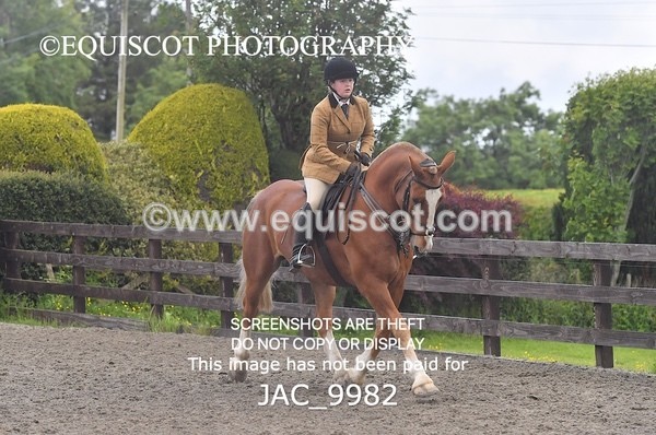JAC_9982 - CLASS 3 Intermediate Working Hunter (0.70m - 0.85m)