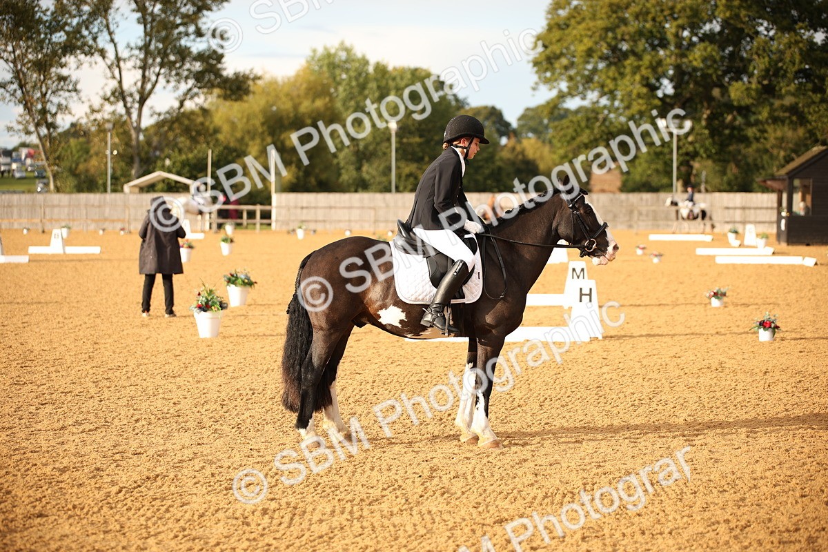 SBM_12419 - D3 Small  Tour Championship Intro A
