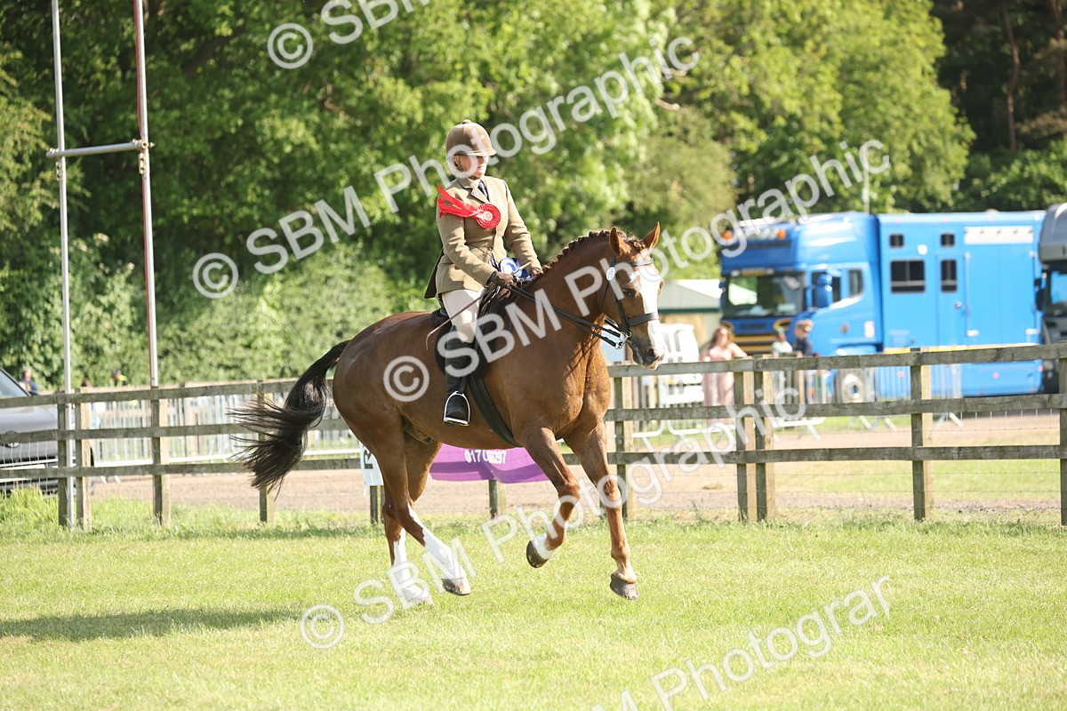 SBM_10285 - Class 33-38 - SSADL RIHS Qualifiers