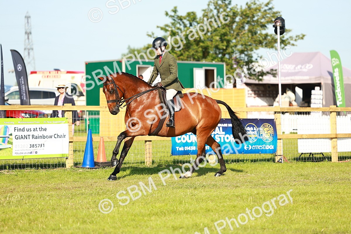 SBM_10783 - Class 66-69 - RIHS Ridden Hunters Inc Small Hunter