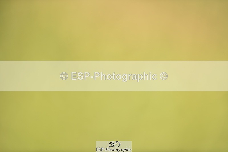 240523B-132244-02394 - 5 Year Old