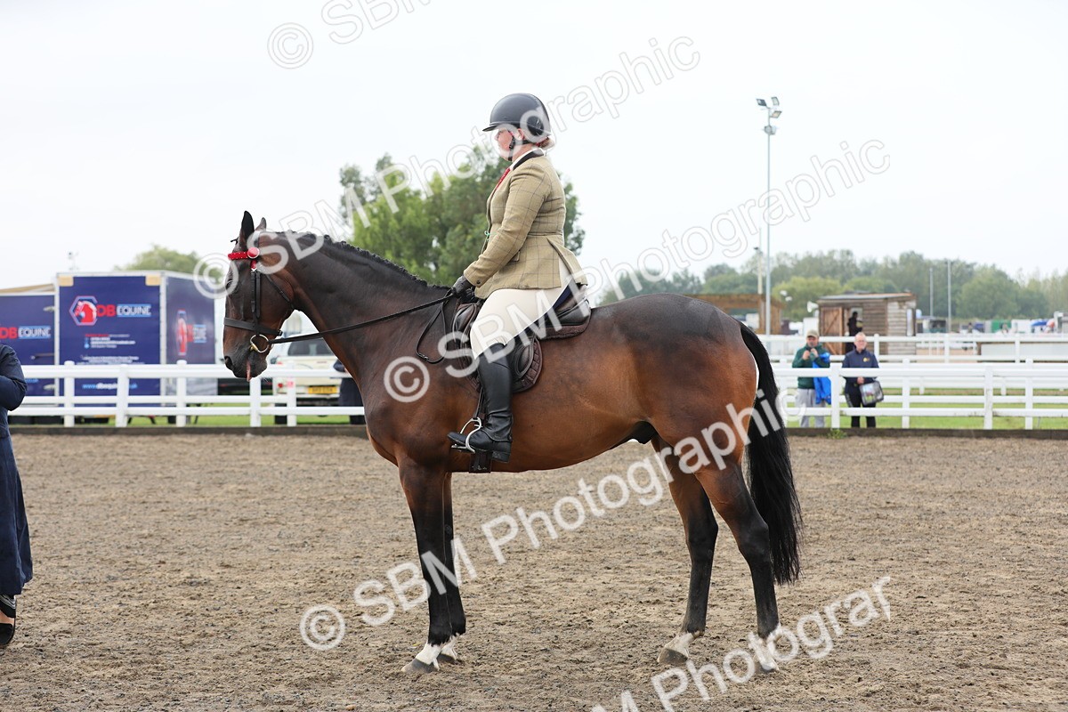 SBM_21315 - Class 805 - Ridden Veteran Horse