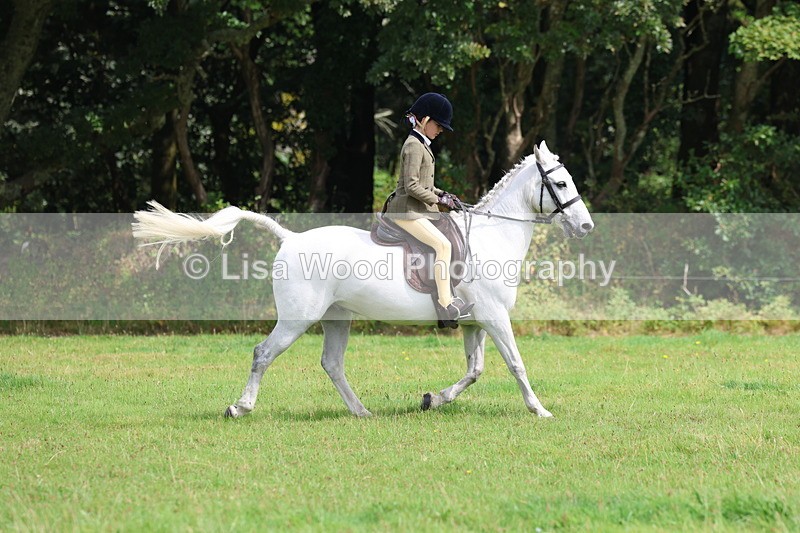 3E7A5842 - Class 26 and 27: 70cm Working Hunter