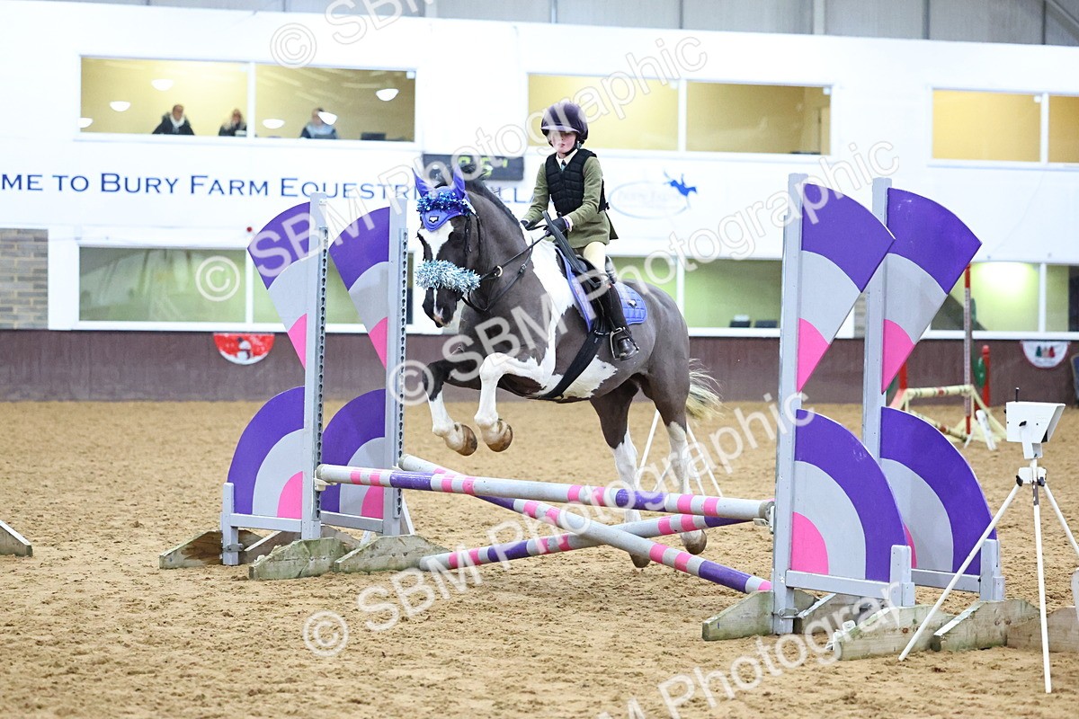 SBM_001246 - Class 3 - Christmas Tree Stakes - 60cm