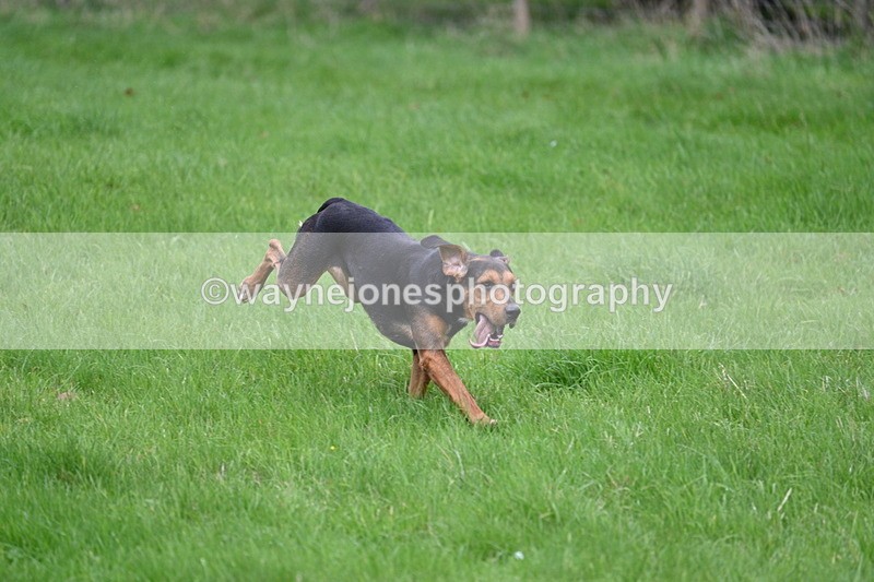 WJ7_4321 - Camera 1 Line 3