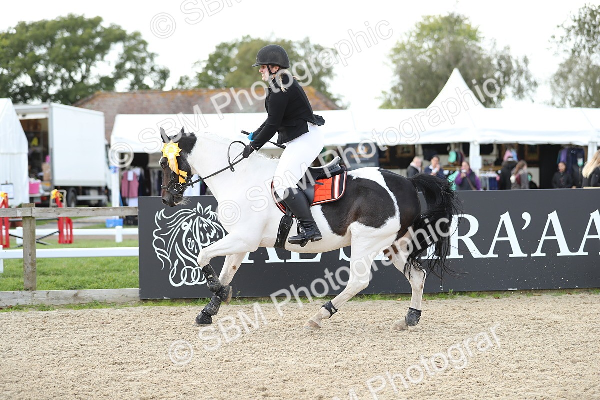 SBM_06579 - J29 - Senior Horse & Pony 65cm Championship