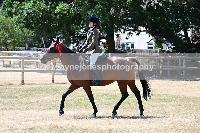 WJ7_3212 - Class 7 Riding Club Show Horse