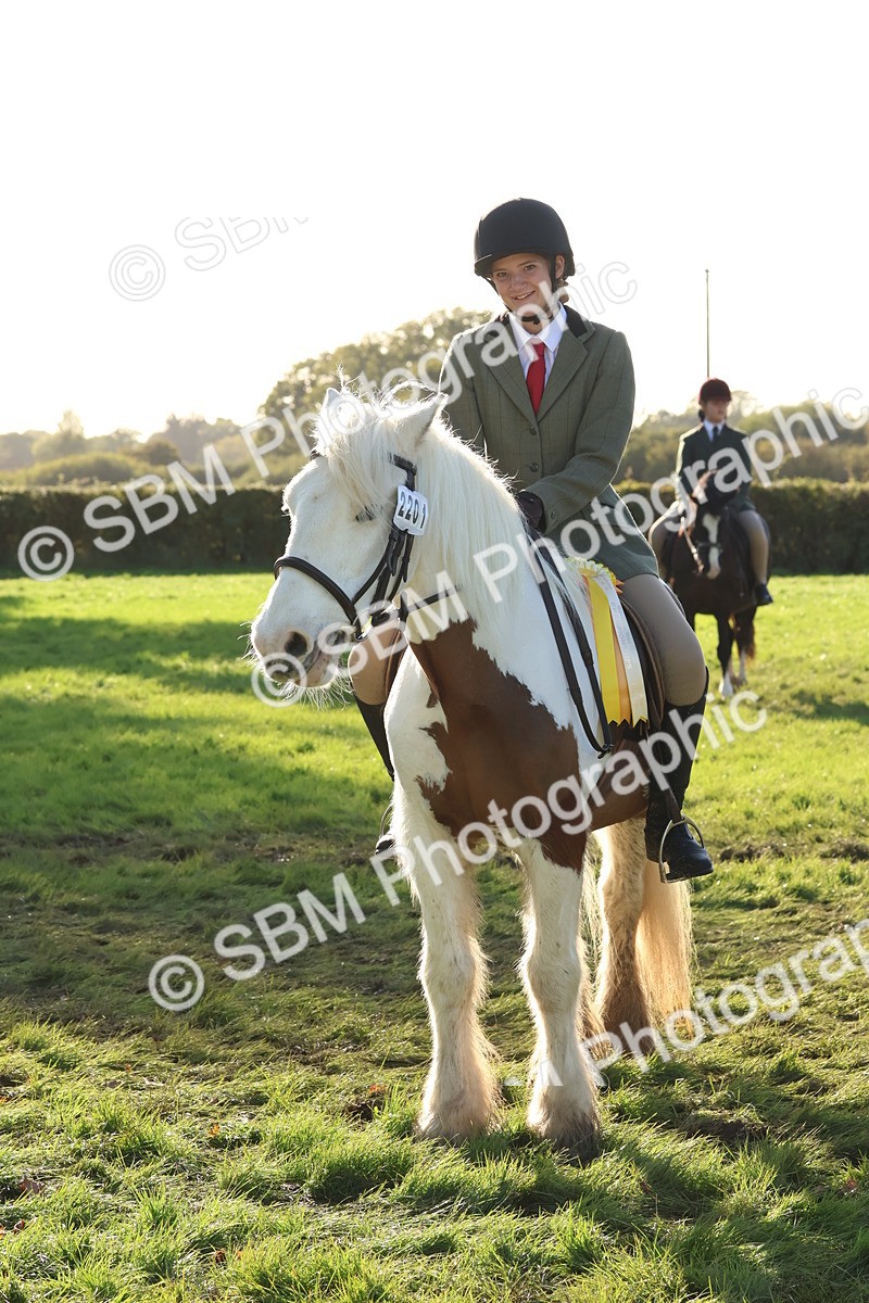 SBM_52678 - S13 - Pony Club Pony