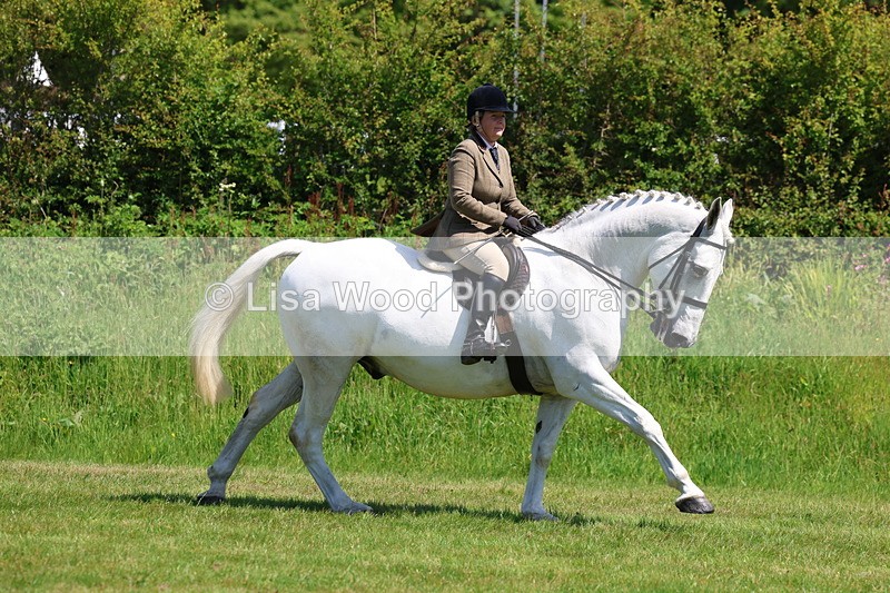 3E7A8299 - Class 13: Ridden Hunter