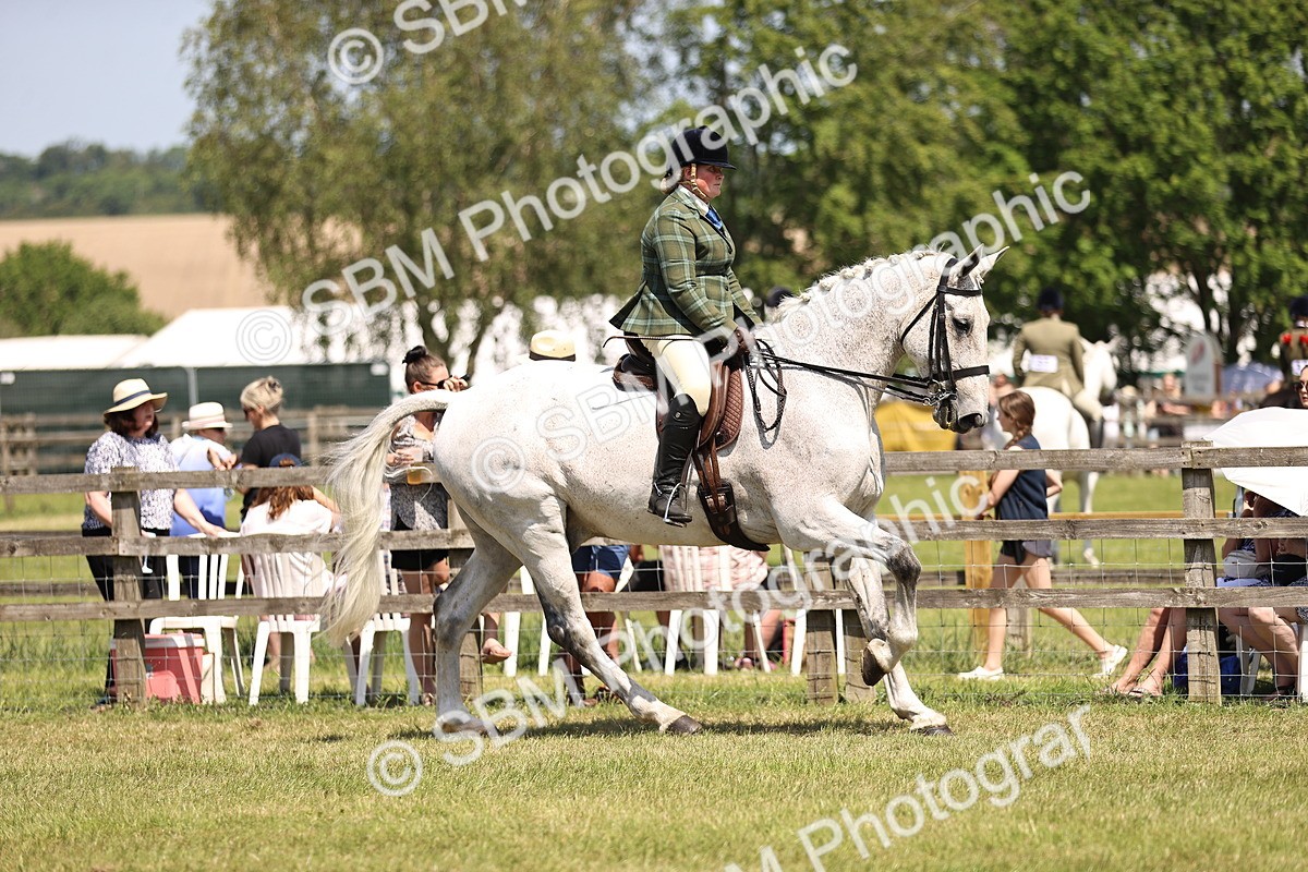 SBM_16098 - Class 79-80 - LIHS BSHA Rising Star Ridden Hunter