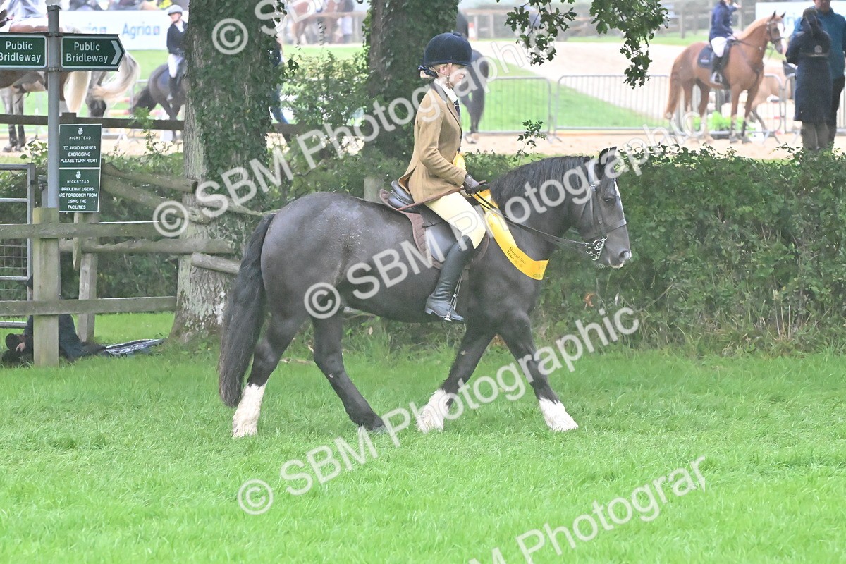 SBM_72172 - Equitation Supreme Championship