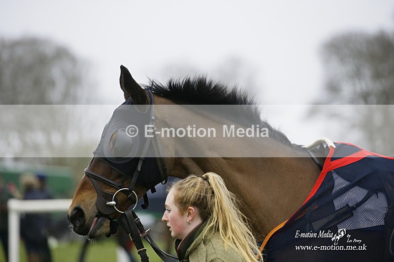 PtP 200222 07 - Countryside Alliance PtP Badbury Rings 20/02/22