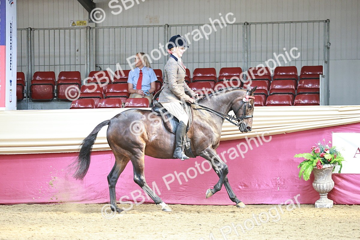 SBM_07002 - Class 10R - Regional Ridden Diamond