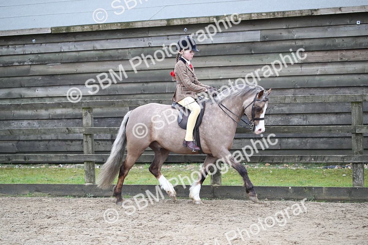SBM_005887 - Class 10-13 - RIHS Small Large Breeds