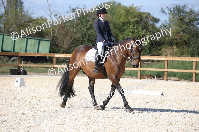20260905-1591 - Class 5 - Novice 2