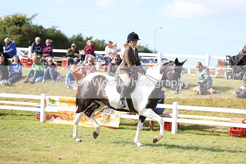 3E7A3834 - Supreme Championship