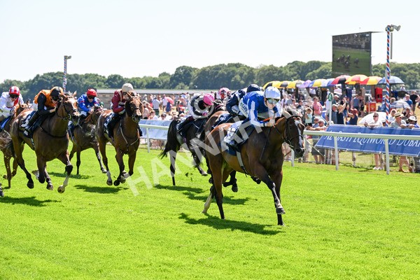 110725-Race 2-Sayidah Dariyan-0225 - Race 2 2.45pm William Hill Summer Stakes