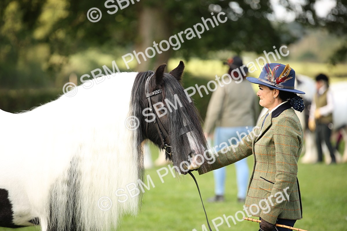 SBM_62285 - S55 - Traditional Cob In Hand