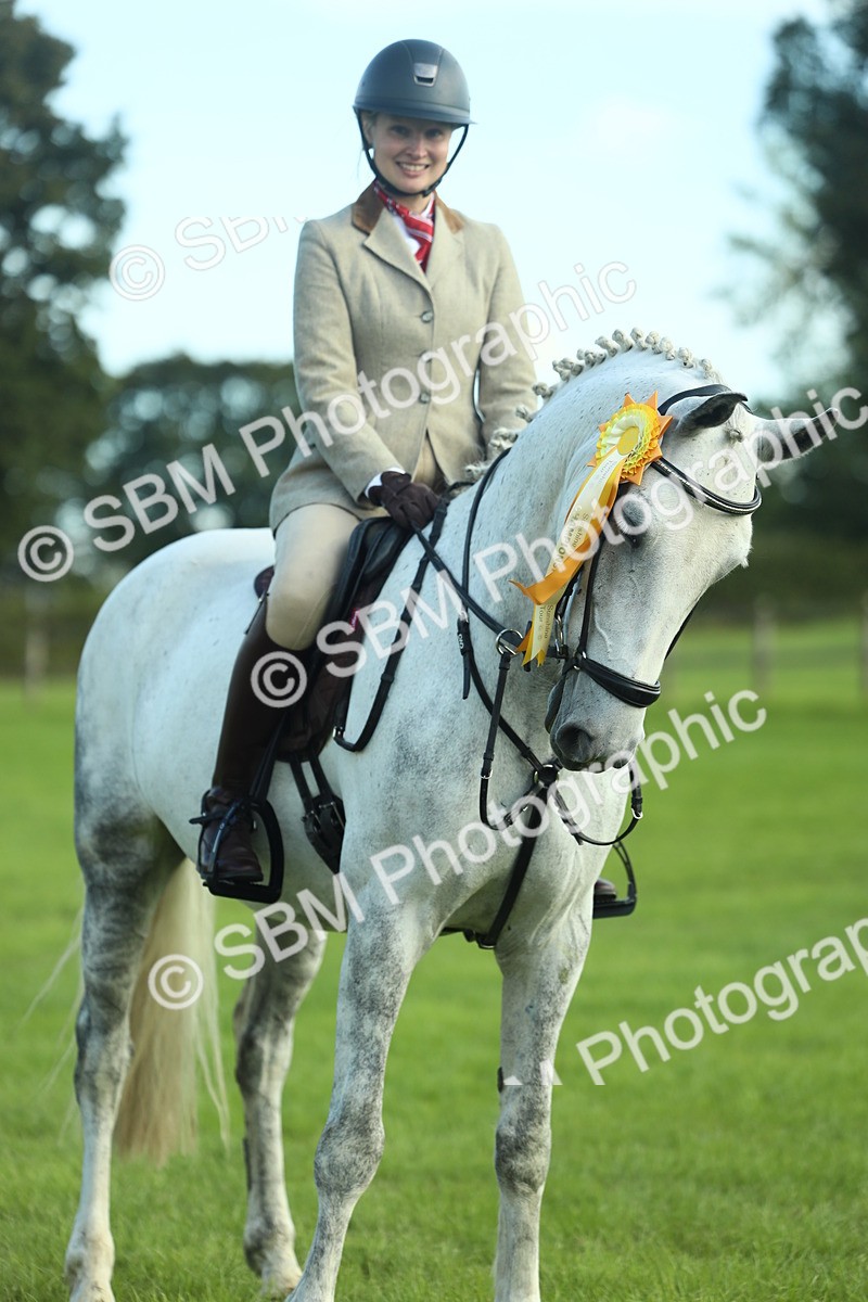 SBM_49957 - S32 - Novice & Newcomers Working Hunter