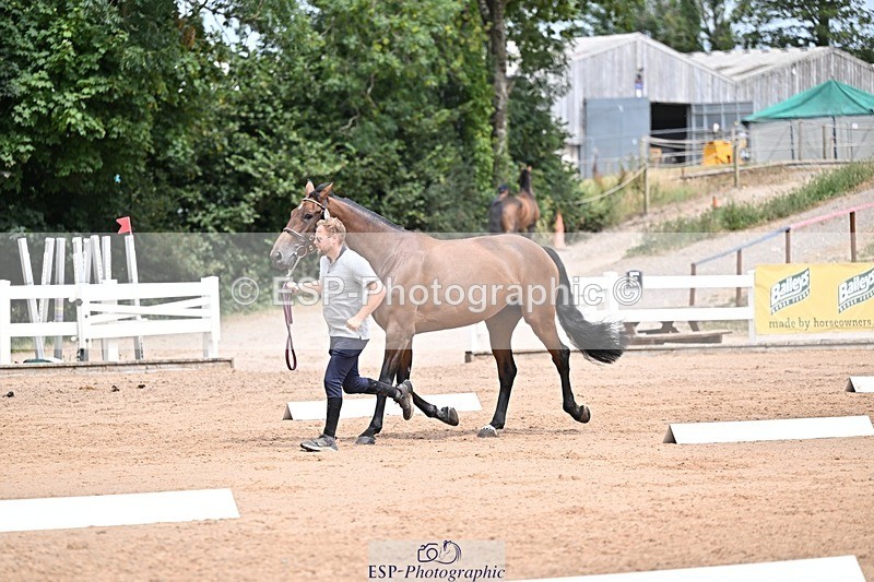 250716-132738-00530 - Trot Up 12.30 to 1.30