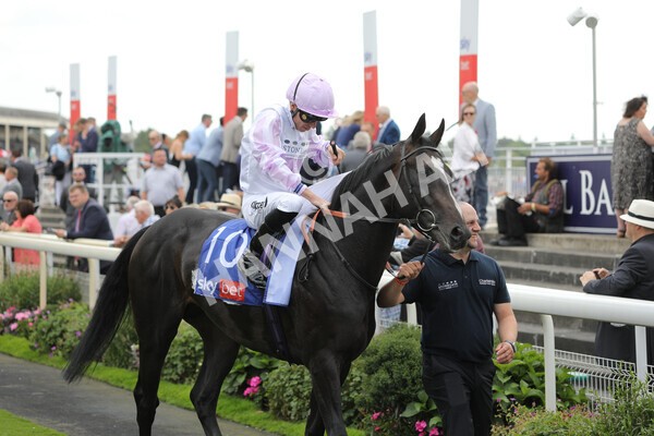 yr20082022r2-15 - Race 2 2.35pm Sky Bet Melrose Stakes