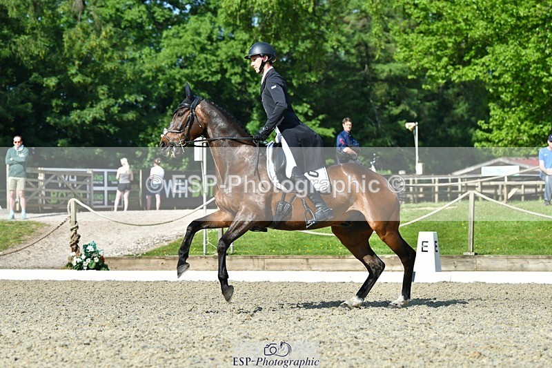 230525-092851-03752 - 405-MATTERHORN_RISING-Arthur_Duffort-DR