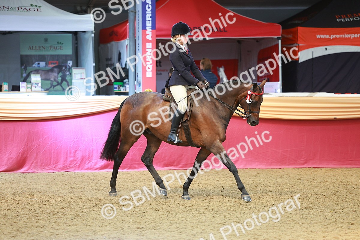SBM_10618 - Class 103 - HOYS Veteran Qualifier - Ridden Pre Vet