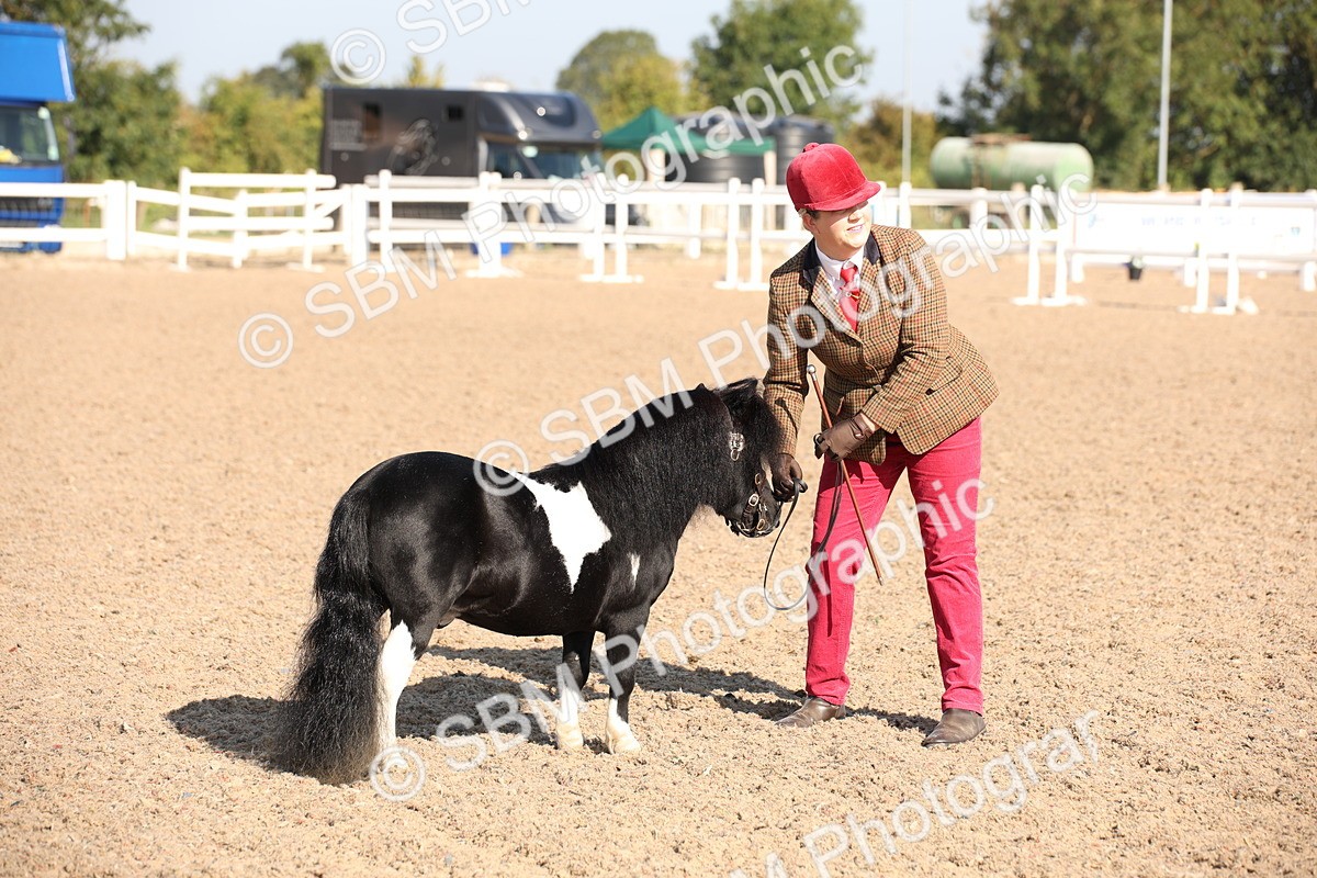 SBM_01476 - Class 15 IH Coloured