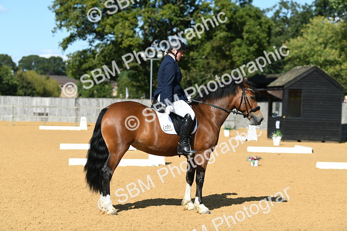 SBM_25056 - D13 - Grand Tour Championship - Prelim 12