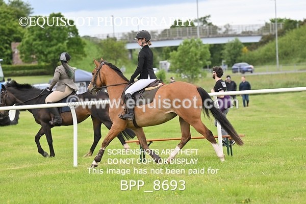 BPP_8693 - CLASS 1  KBIS Club - Senior 80cm