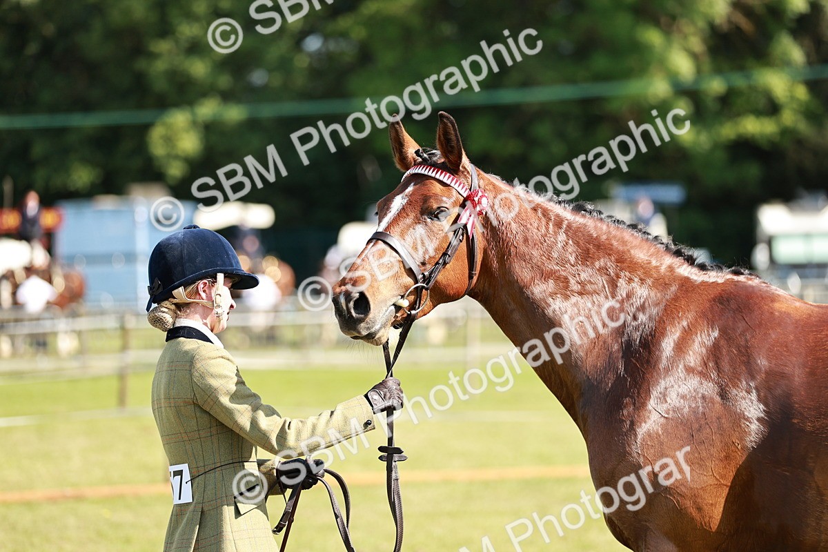 SBM_18931 - Class 114 - RIHS & SEIB Open Working Show Horse