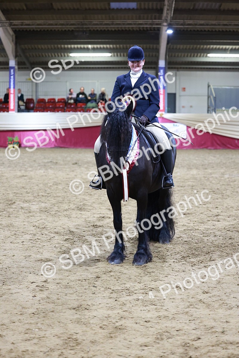 SBM_20912 - Class M - Equitation Champ