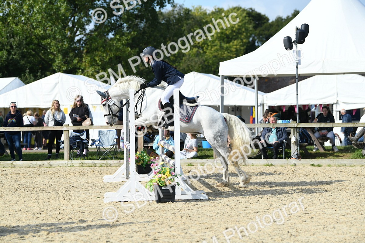 SBM_61619 - j25 - Junior Horse 80cm Championship