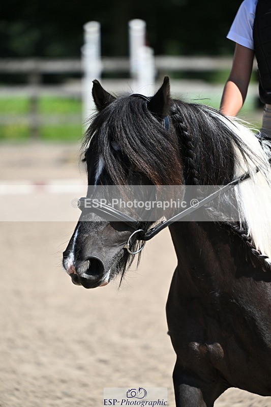 240729B-112523-02370 - Showjumping Competition