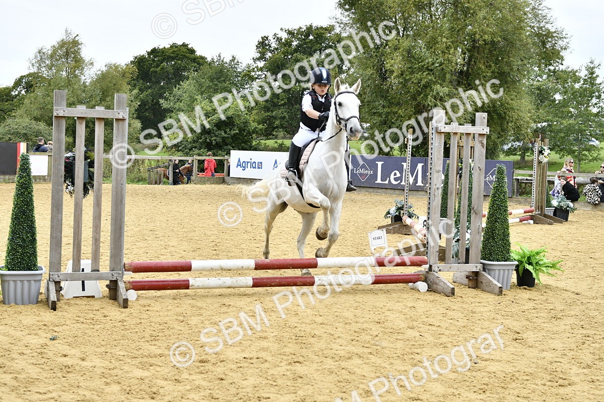 SBM_65420 - J2a mini Tour Junior Pony 30cm Championship