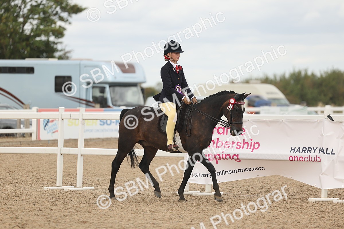 SBM_16095 - Class 311 - Ridden Show pony-Show hunter Pony