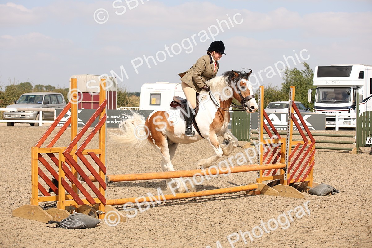 SBM_14288 - Class 407b - Working Veteran 60cm (20+)