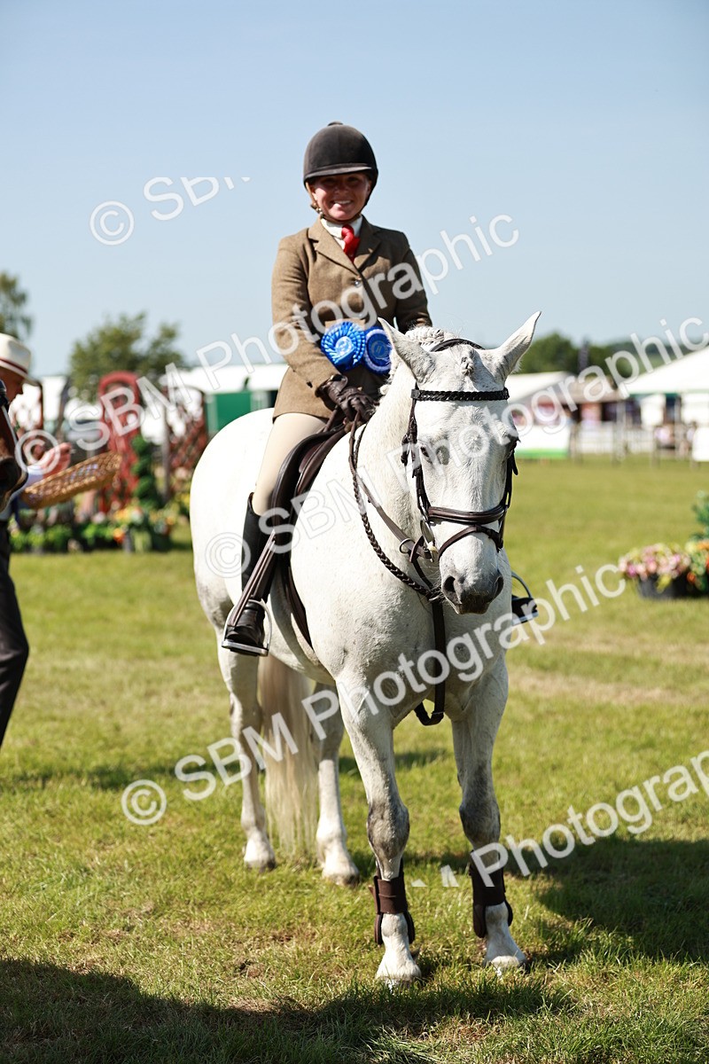 SBM_18551 - Class 112-113 - BSPS LIHS Working Sports Pony