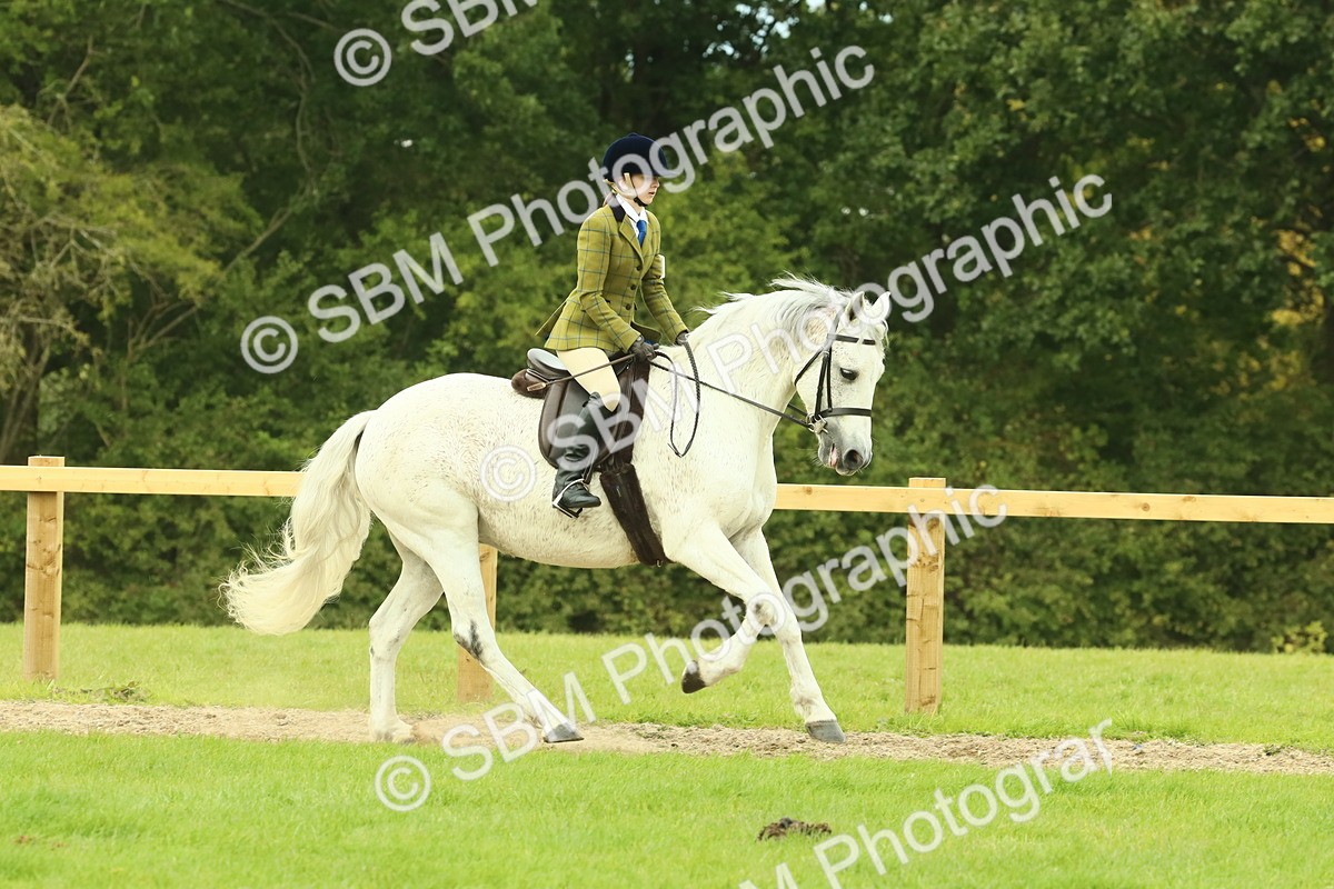 SBM_71897 - S60 - Mountain & Moorland Ridden Large Breeds